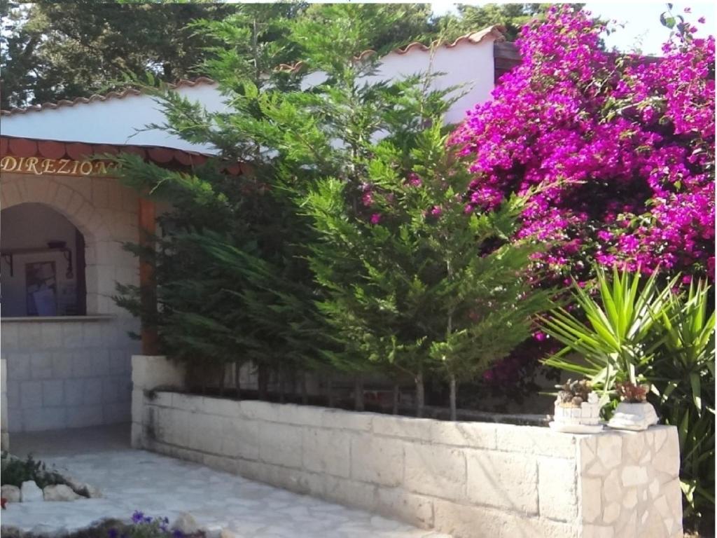 Althea Village Residence Vieste Habitación foto